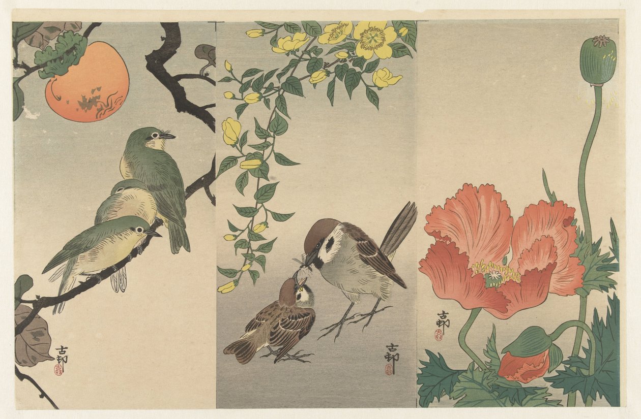 Pássaros e plantas de Ohara Koson