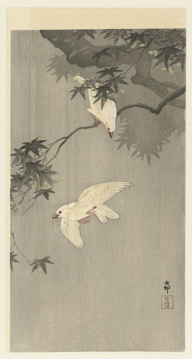 Aves na chuva de Ohara Koson