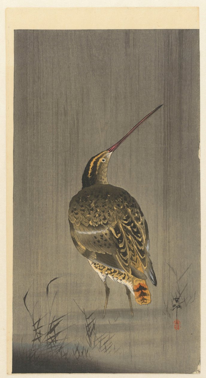 Snipe na chuva de Ohara Koson
