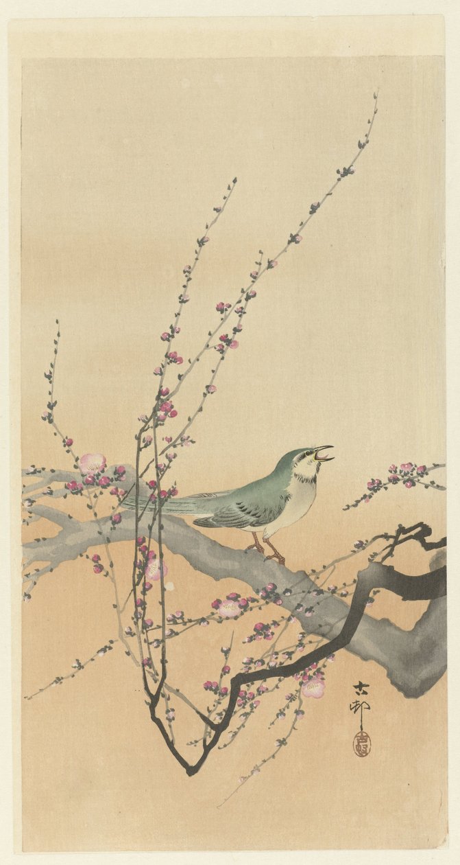 Ave canora e flor de ameixa. de Ohara Koson