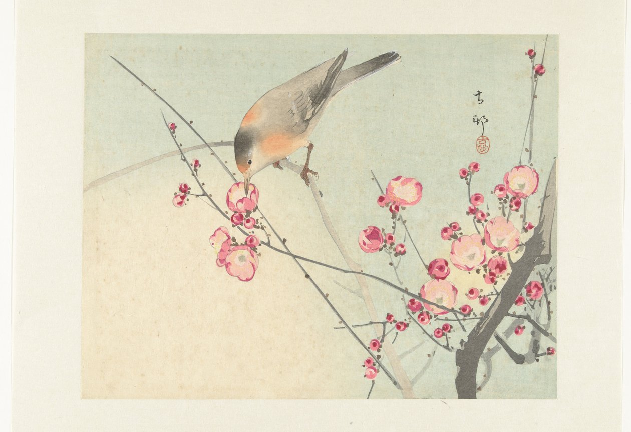 Ave canora em ramo de floração de Ohara Koson