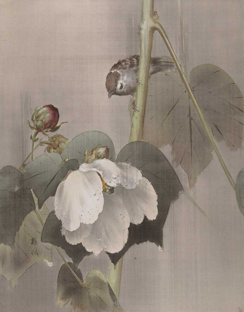 Cotton Rose Mallows na chuva, ca. 1891-92. de Okada Baison