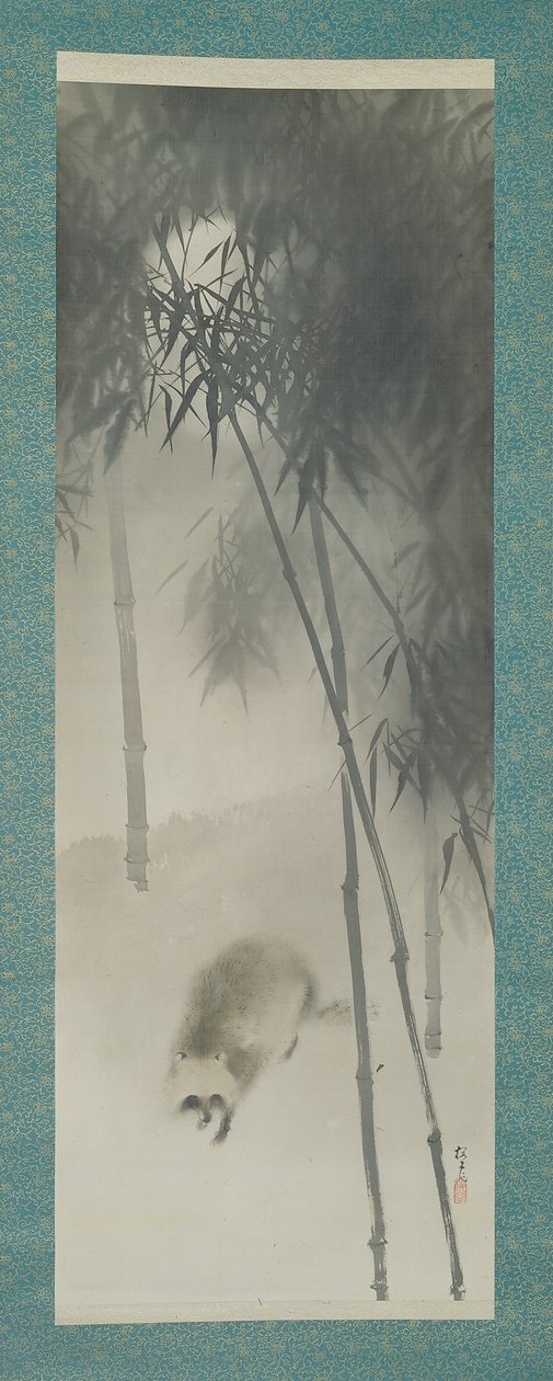 Velho cão-guaxinim (tanuki) num denso bosque de bambu, início do século XX (tinta sobre seda) de Okoku Konoshima