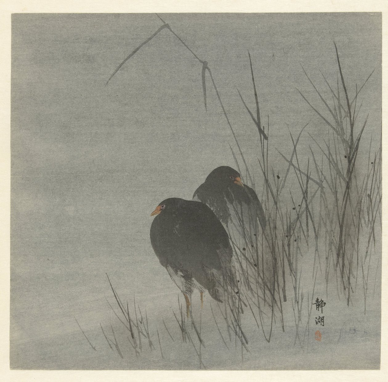 Dois galeirões entre palhetas de Okuhara Seiko