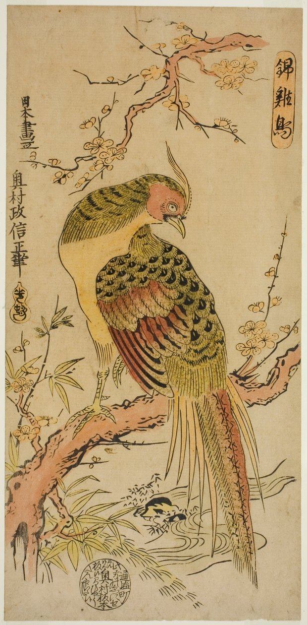 Faisão Dourado (Kinkeicho) de Okumura Masanobu