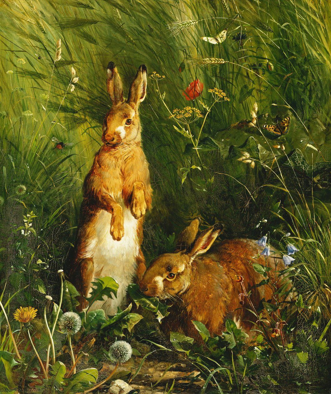 Hares, 1878 de Olaf August Hermansen