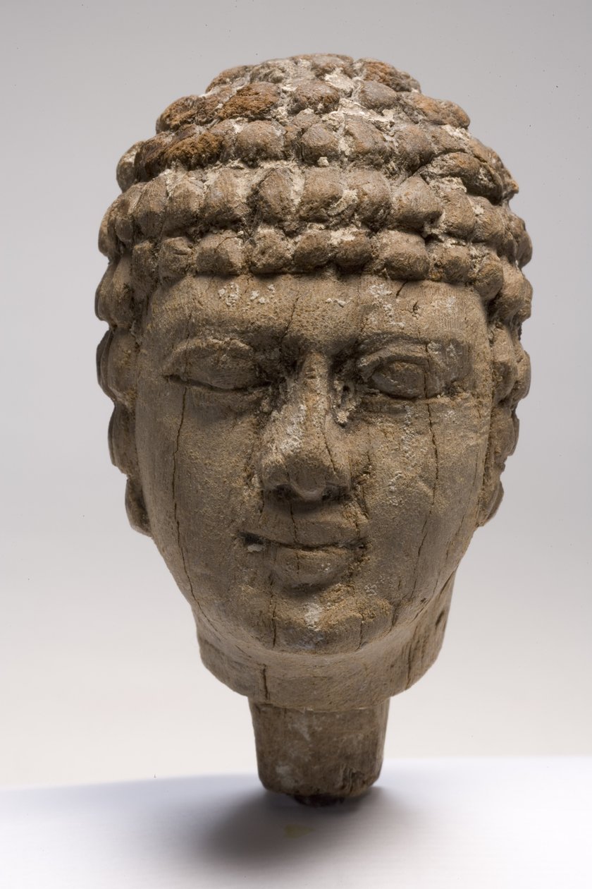 Cabeça de um homem (madeira) (veja também 249003-4 e 249006) de Old Kingdom Egyptian