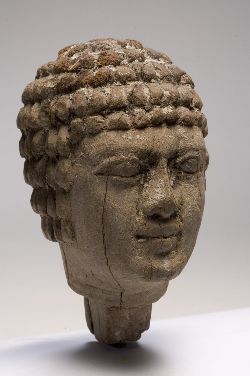 Cabeça de um homem (madeira) (veja também 249003-5) de Old Kingdom Egyptian