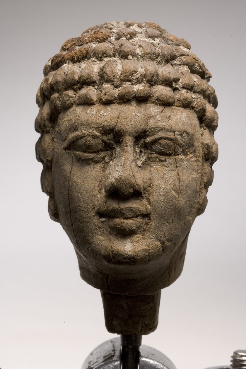 Cabeça de um homem (madeira) (veja também 249003 e 249005-6) de Old Kingdom Egyptian