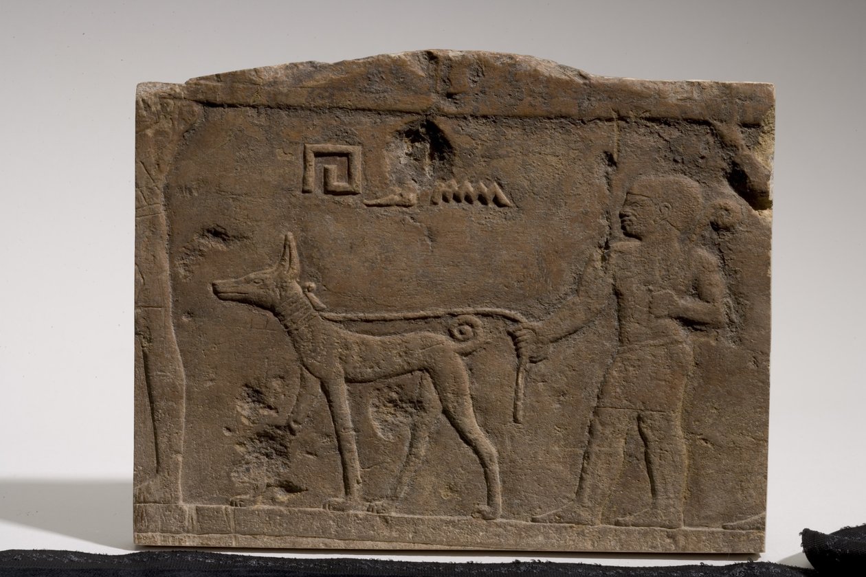 Relevo retratando um anão e um cão de caça chamado Ébano, 4ª a 5ª dinastia, 2573-2311 aC (calcário) de Old Kingdom Egyptian