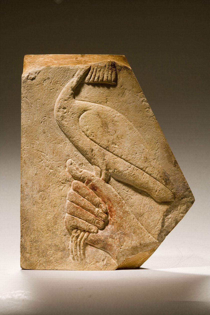 Fragmento de relevo de um pássaro Akh (calcário) de Old Kingdom Egyptian