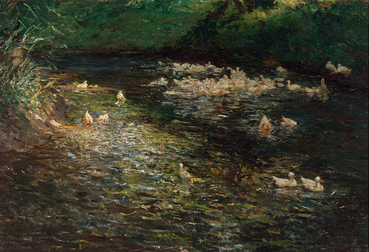 lago de patos de Olga Wisinger-Florian