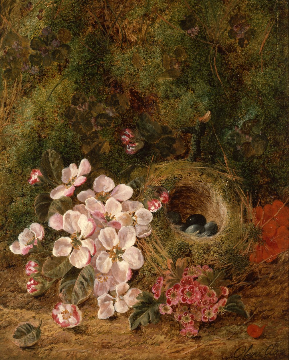 Ninho de Pássaro de Oliver Clare