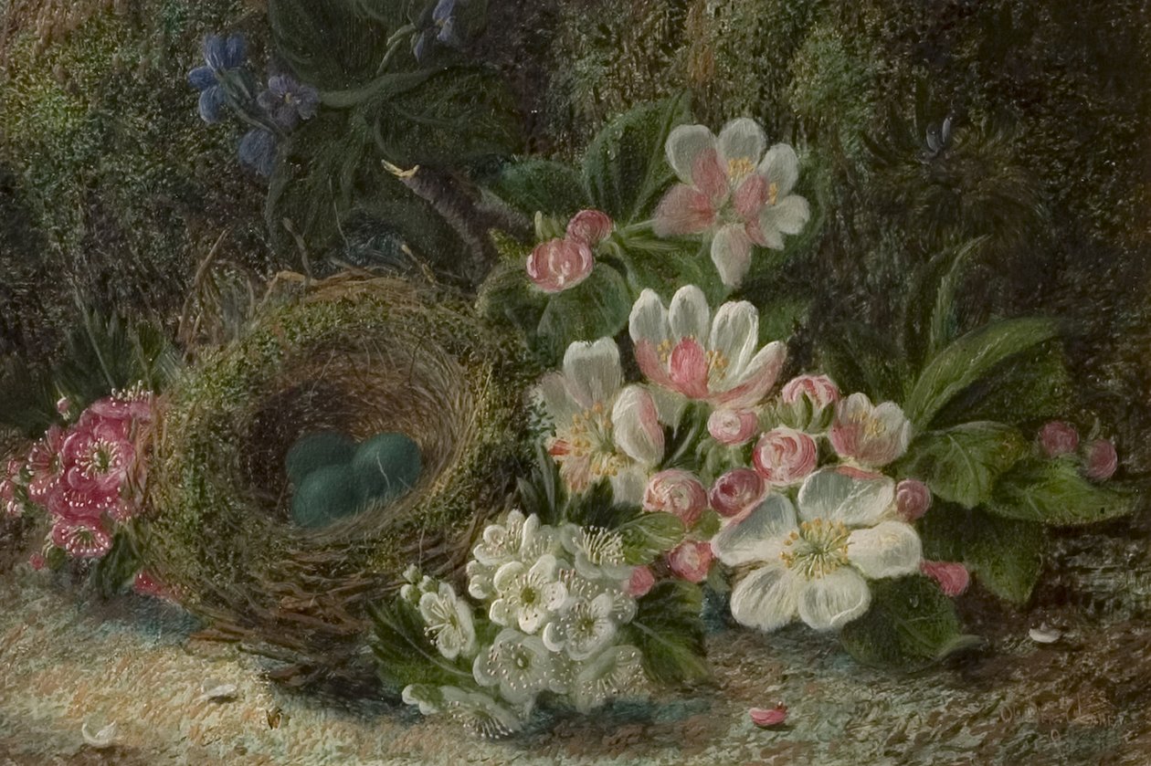 Ninho de Pássaro com Maçã e Flor de Espinheiro, 1893 de Oliver Clare