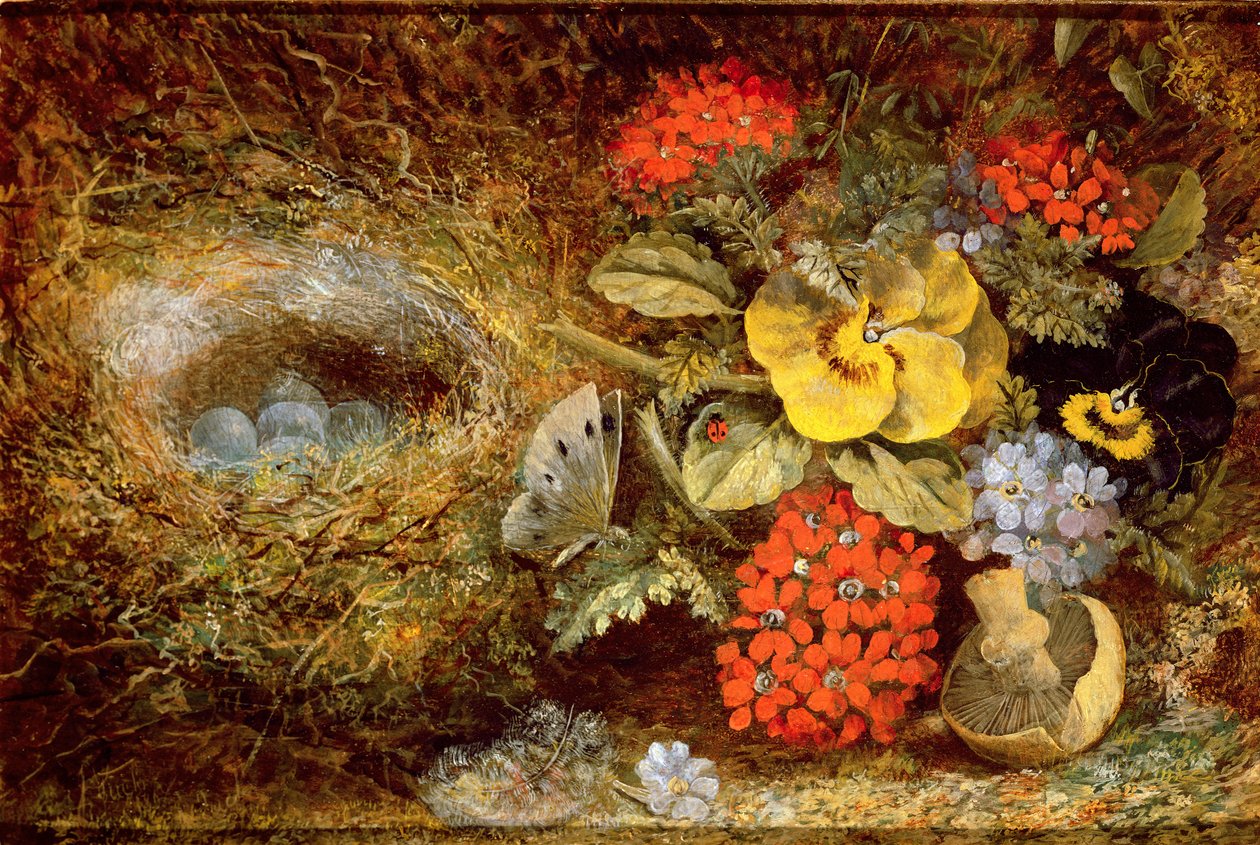 Flores e Ninho de Pássaro com Borboleta e Cogumelo de Oliver Clare