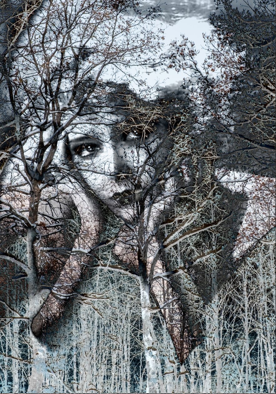 Retrato de inverno em negativo, 2021 (técnica mista digital) de Olivia Gozzano