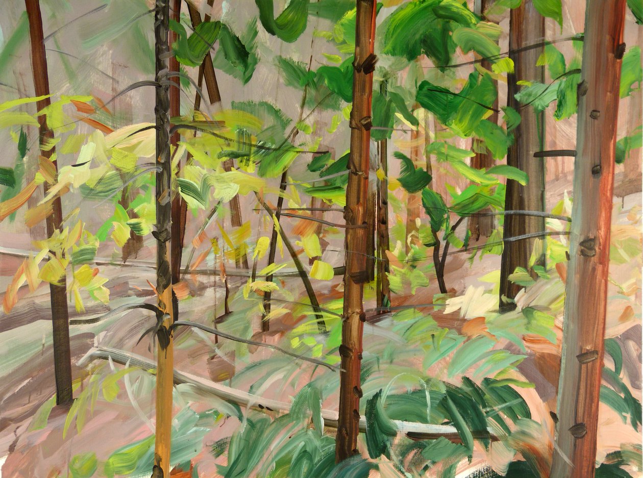 Forêt 9, 2015 (acrílico sobre tela) de Olivier Morel