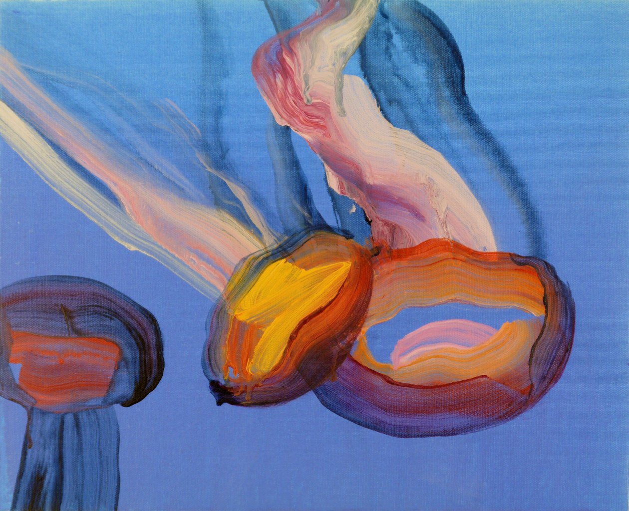 Méduses 11, 2013 (acrílico sobre tela) de Olivier Morel