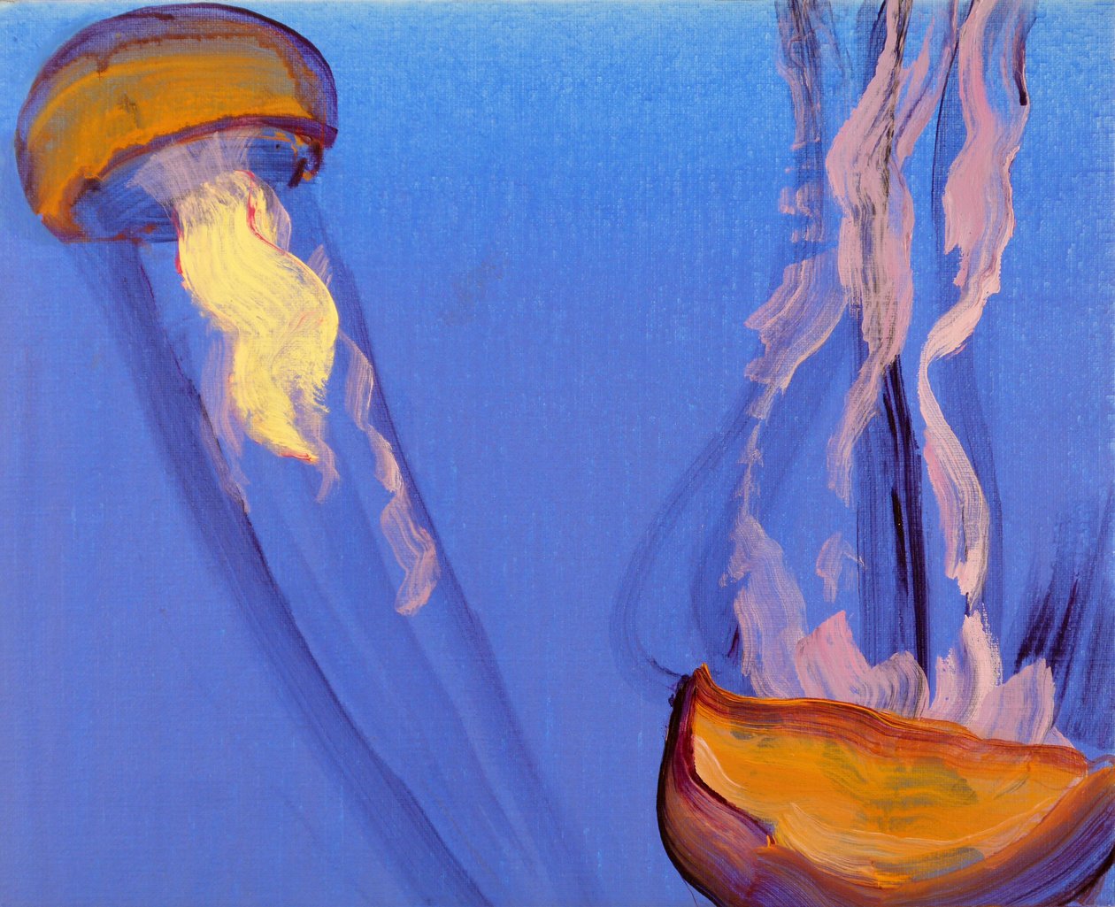 Méduses 7, 2013 (acrílico sobre tela) de Olivier Morel