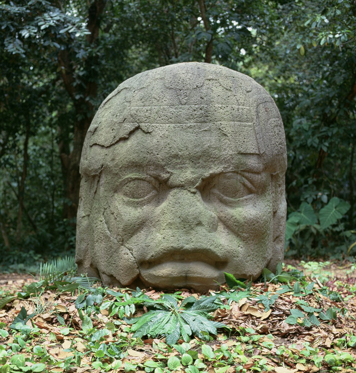 Cabeça colossal 4, período pré-clássico de Olmec
