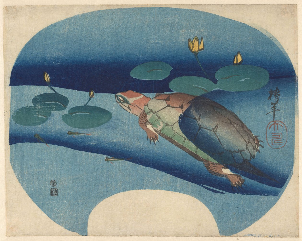 Estampa de leque com tartaruga a nadar entre lírios de água de Onishi Chinnen