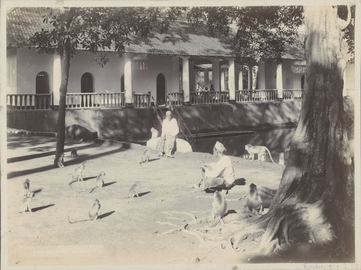Homens indianos com macacos em um quintal perto de uma água, possivelmente em Surabaya de Onnes Kurkdjian