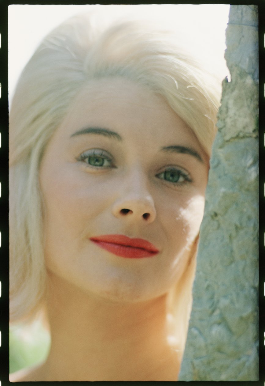 Hope Lange fecha de Orlando Suero