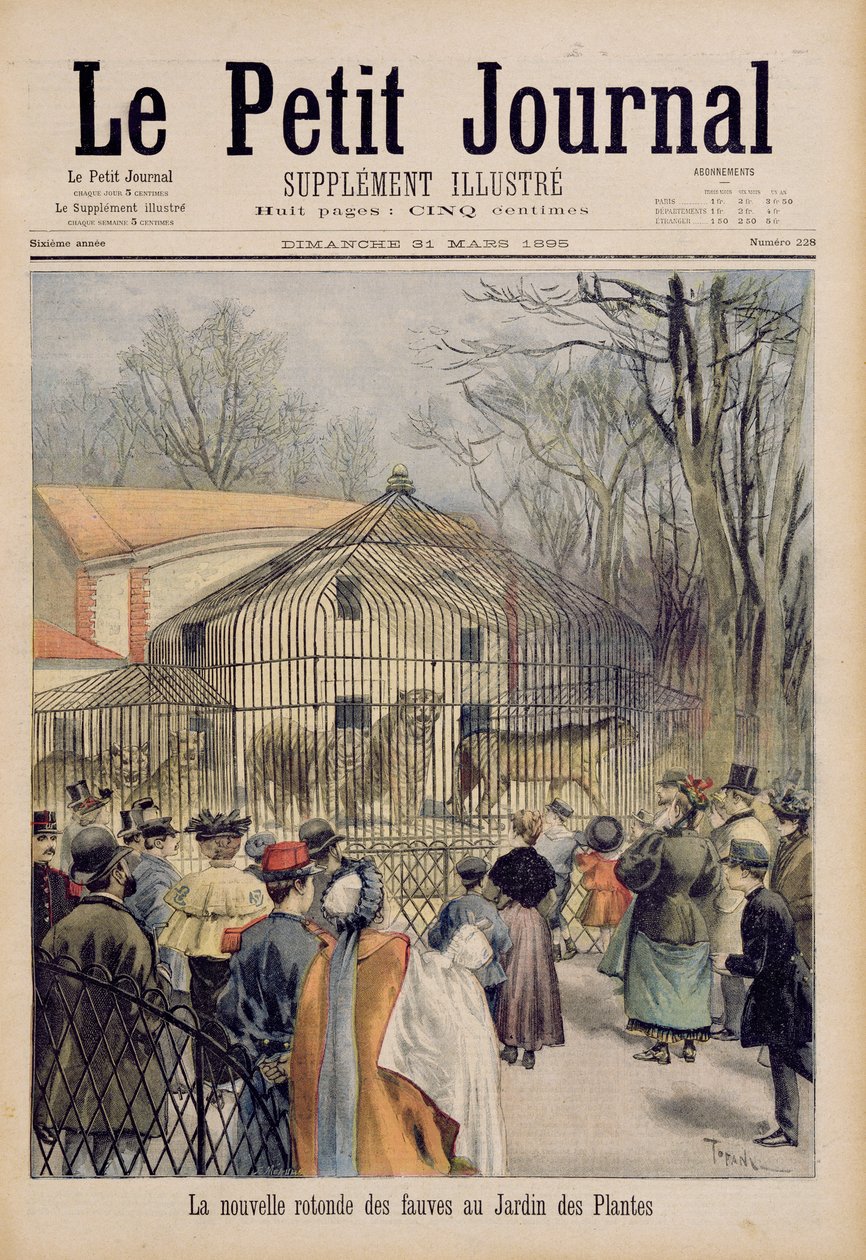 The New Wildcat House no Jardin des Plantes, de &39;Le Petit Journal&39;, 31 de março de 1895 de Oswaldo Tofani
