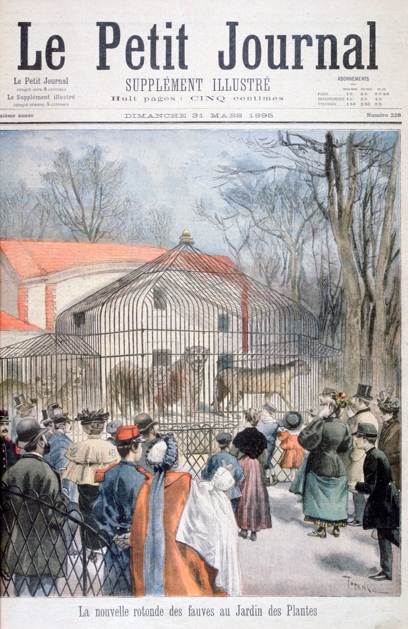 A nova casa de gatos selvagens no Jardin des Plantes, Paris, 1895 de Oswaldo Tofani
