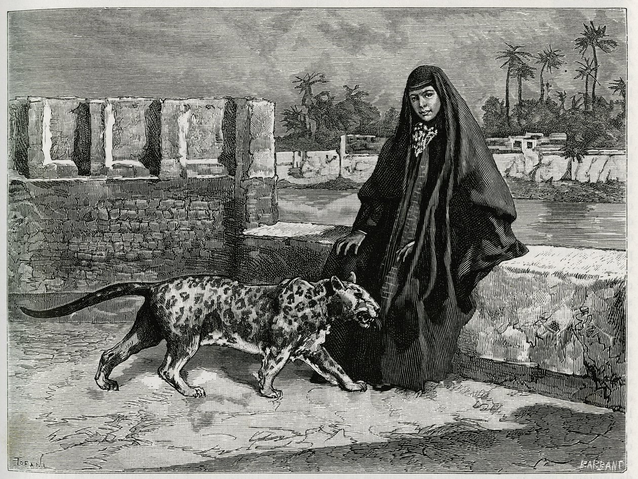 Torkan Khanoum, favorito do xeque Moisés, poderoso líder tribal do Arabistão com a sua panthere. Gravado por Tofani, para ilustrar a história "Persia, Chaldee e Susiane". de Oswaldo Tofani