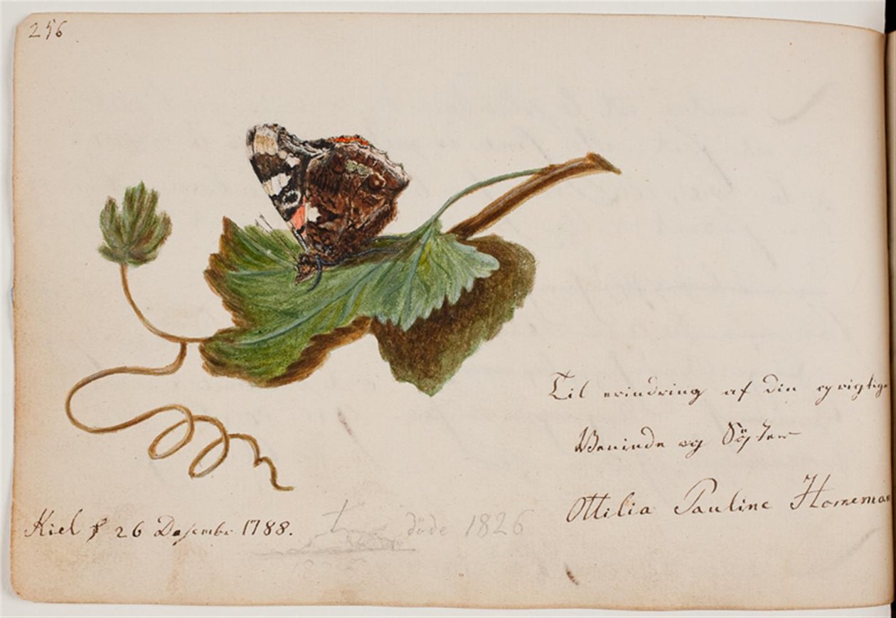 borboleta na folha de Ottilie Pauline Horneman