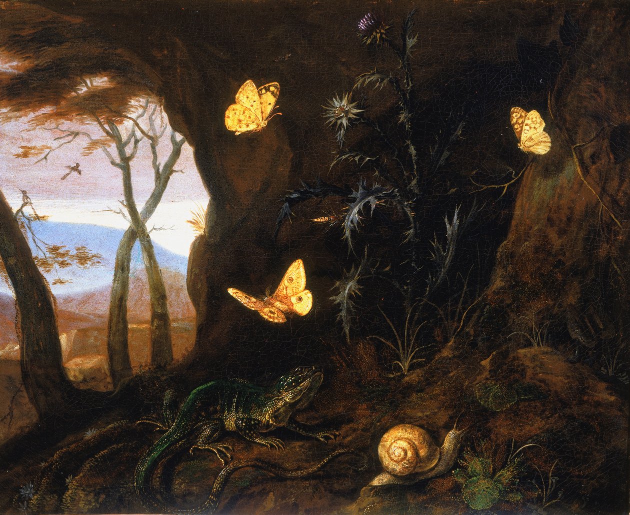 Pequenos répteis e borboletas em um canto da floresta de Otto Marseus  van Schrieck