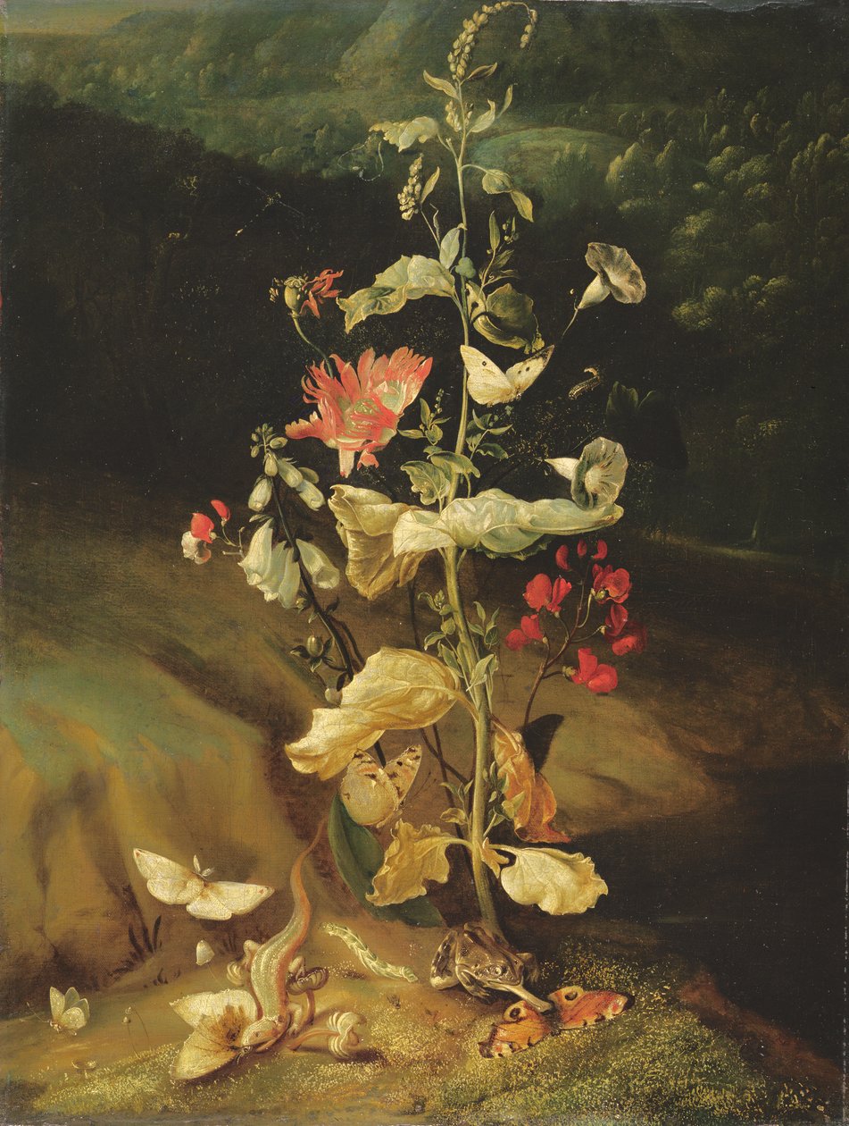 Ainda vida com flores de Otto Marseus  van Schrieck