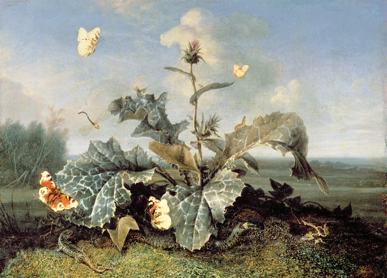 O Burdock Bush de Otto Marseus  van Schrieck