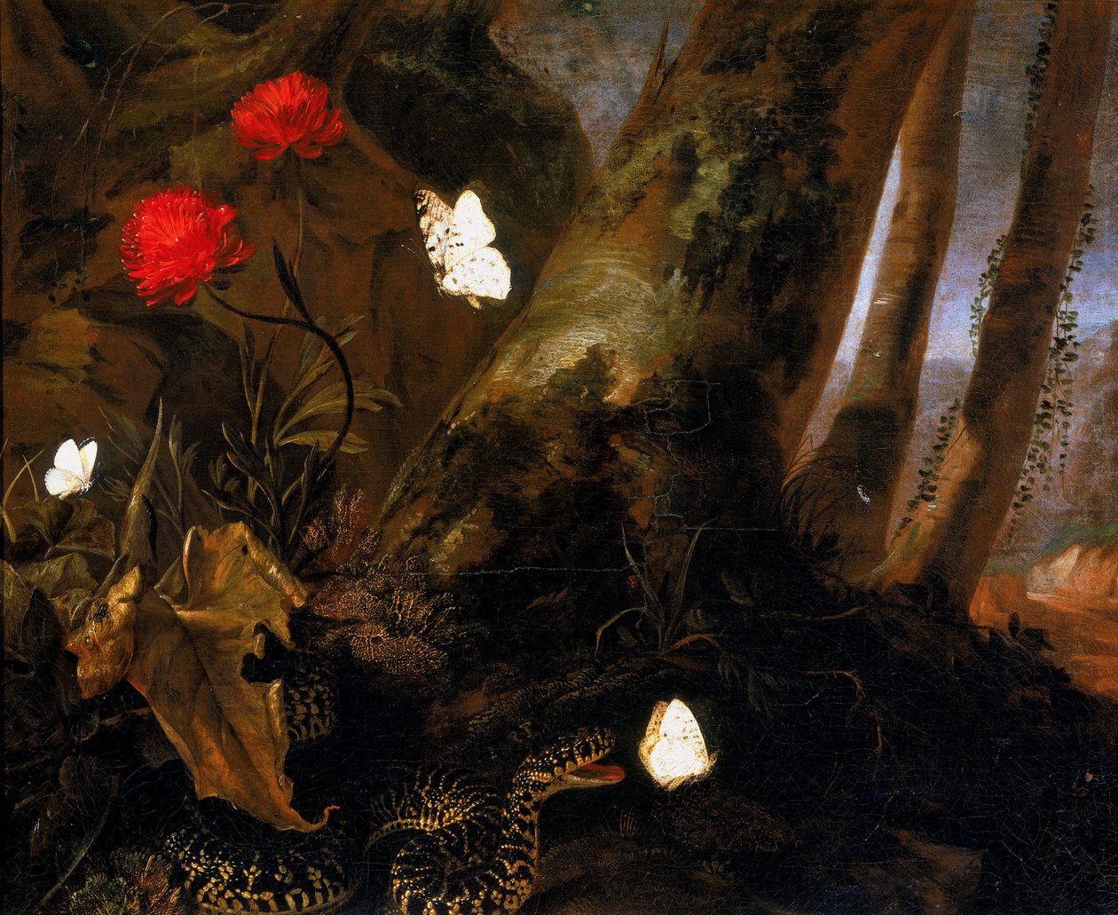 Mato com animais de Otto Marseus  van Schrieck