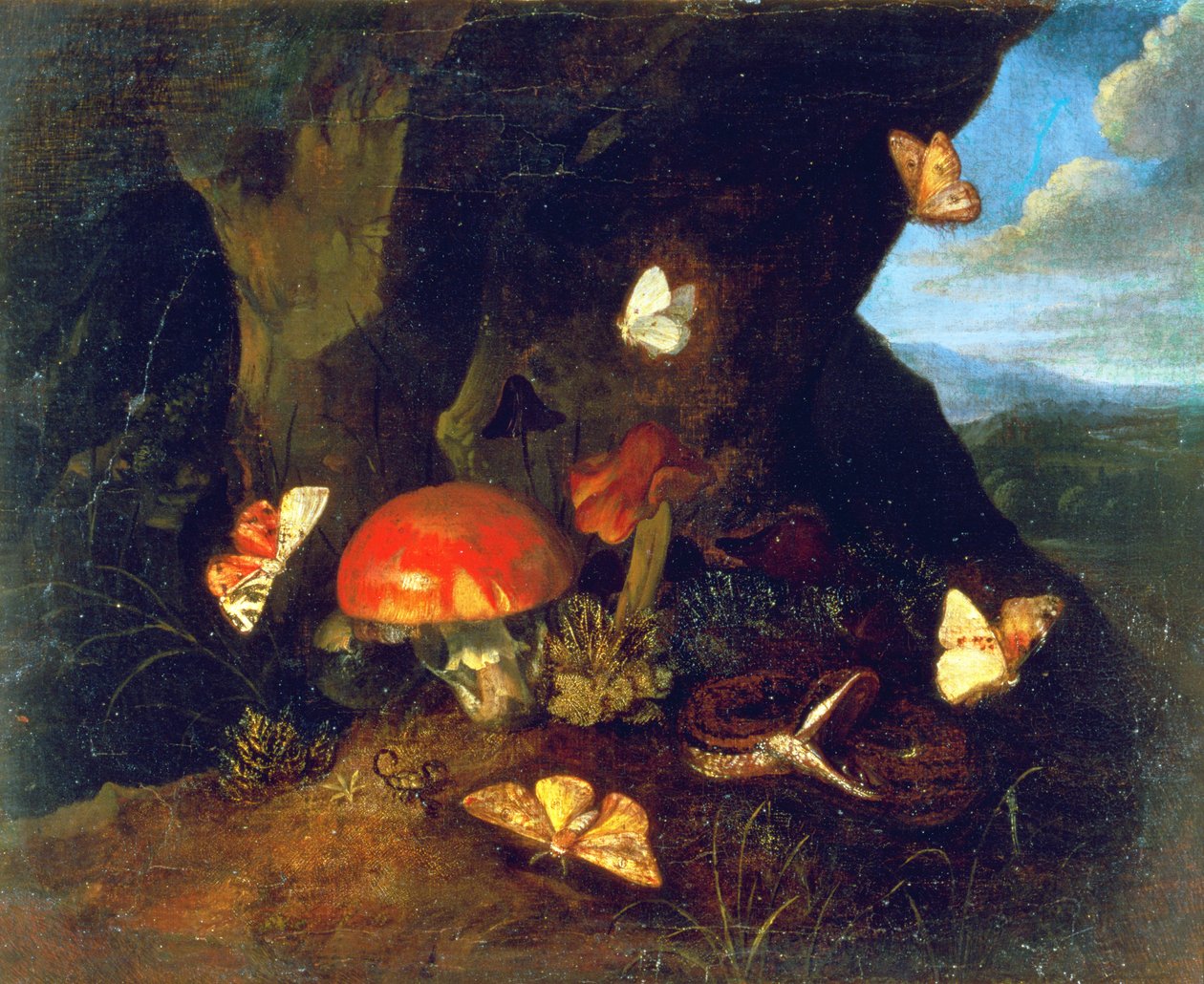 Vegetação rasteira e vida selvagem de Otto Marseus  van Schrieck