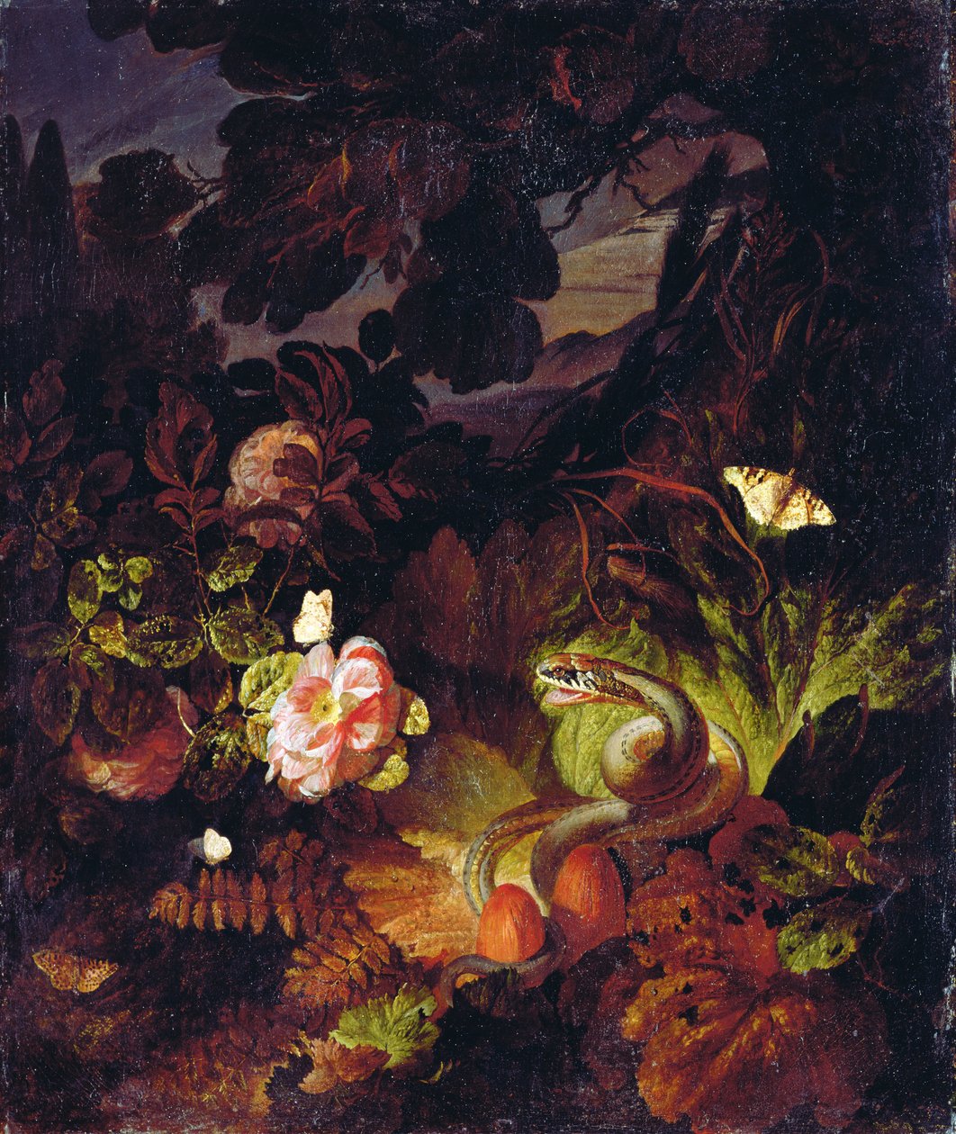 Flores, Cobra e Borboletas de Otto Marseus  van Schrieck