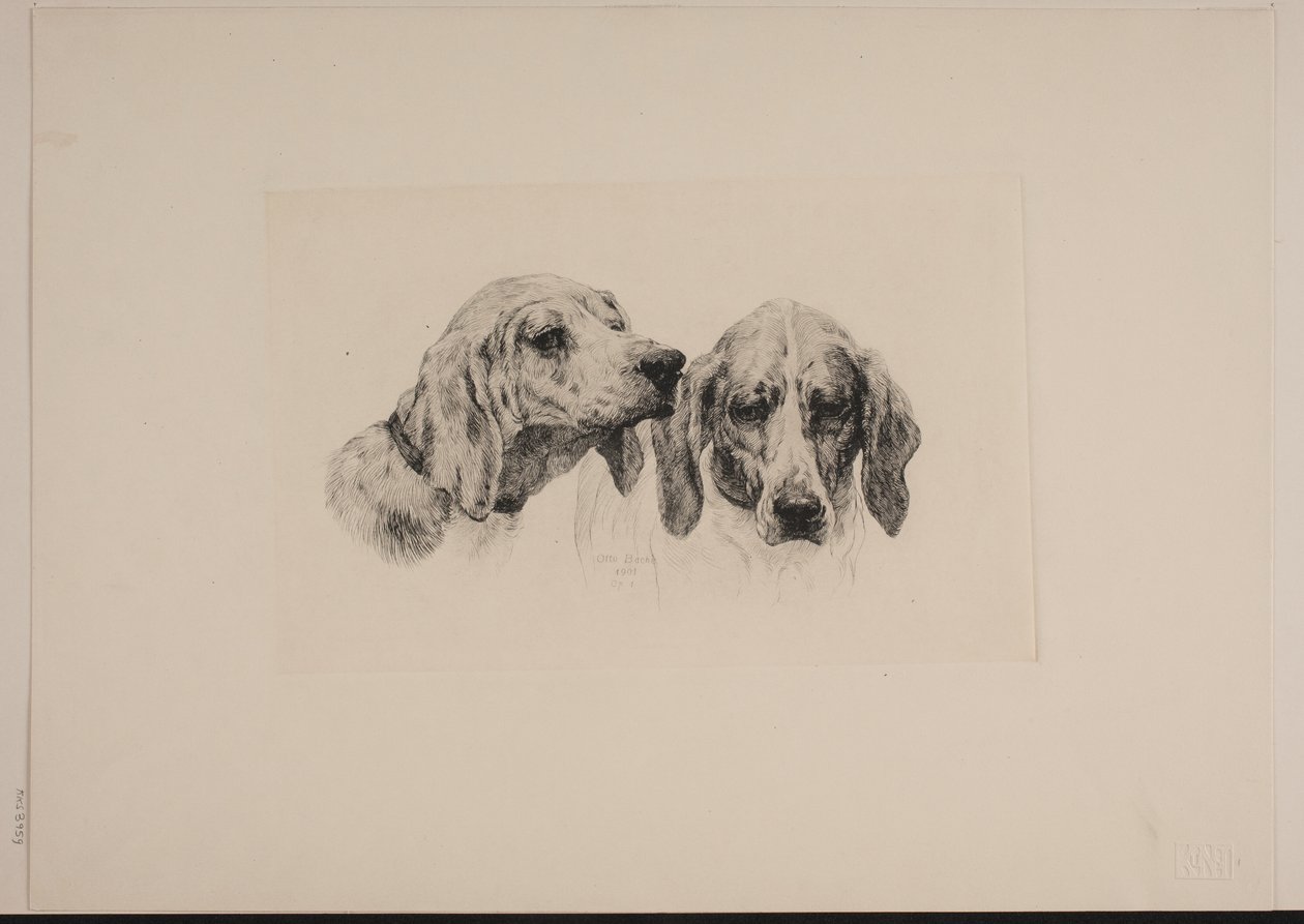 Dinamarquês: Duas cabeças de cão de Otto Bache