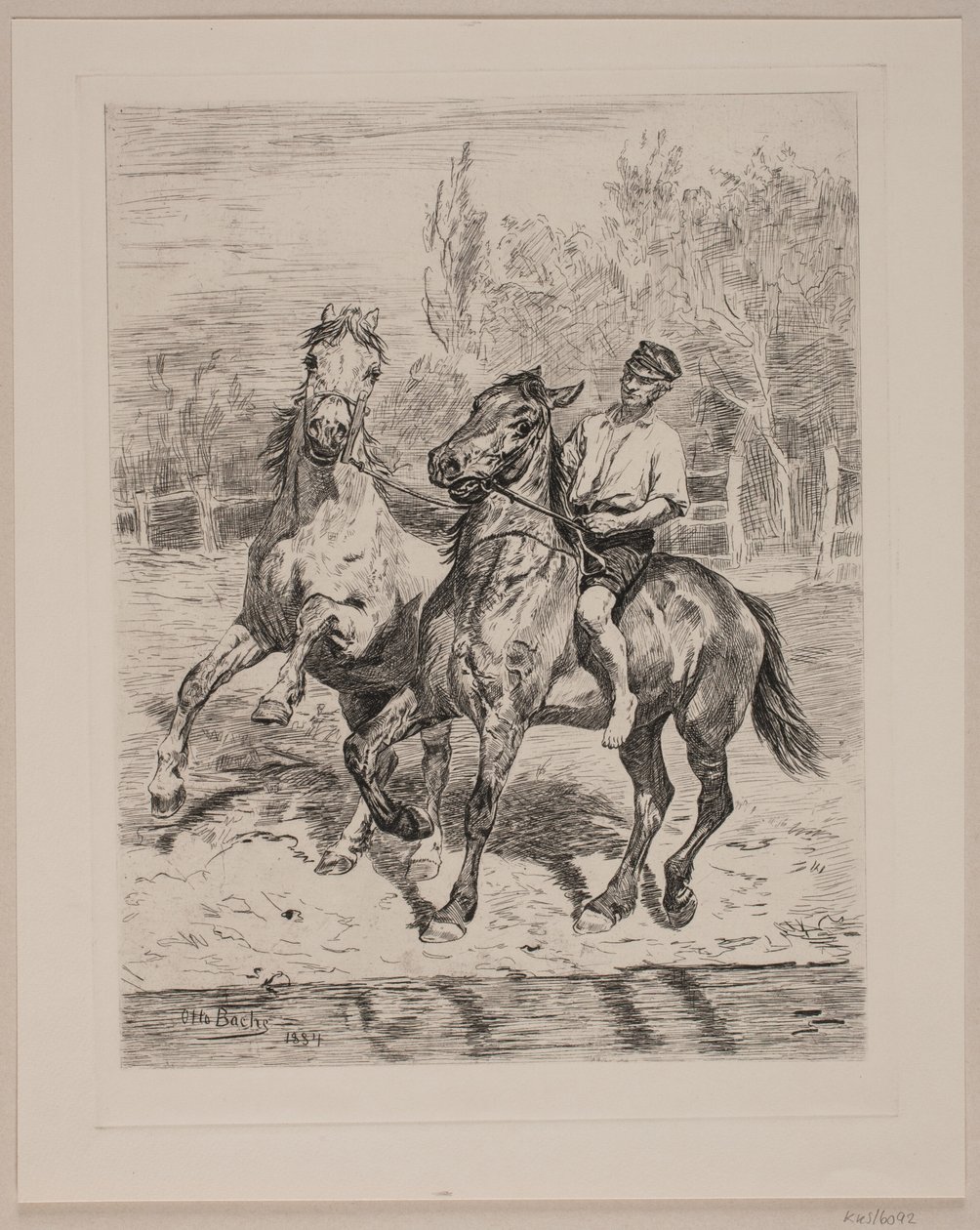 Os cavalos são regados de Otto Bache