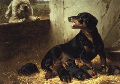 O Visitante Inapropriado de Otto Bache