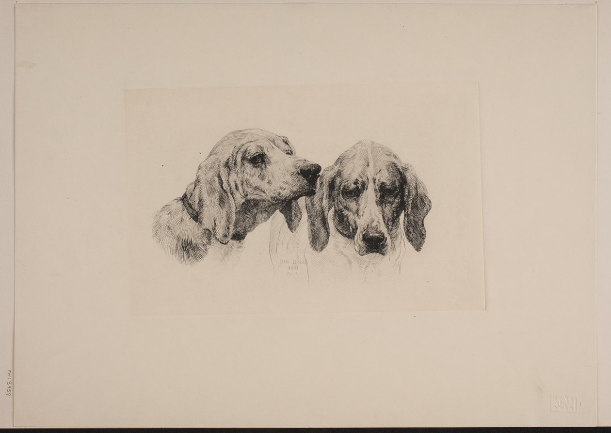 Duas cabeças de cachorro de Otto Bache