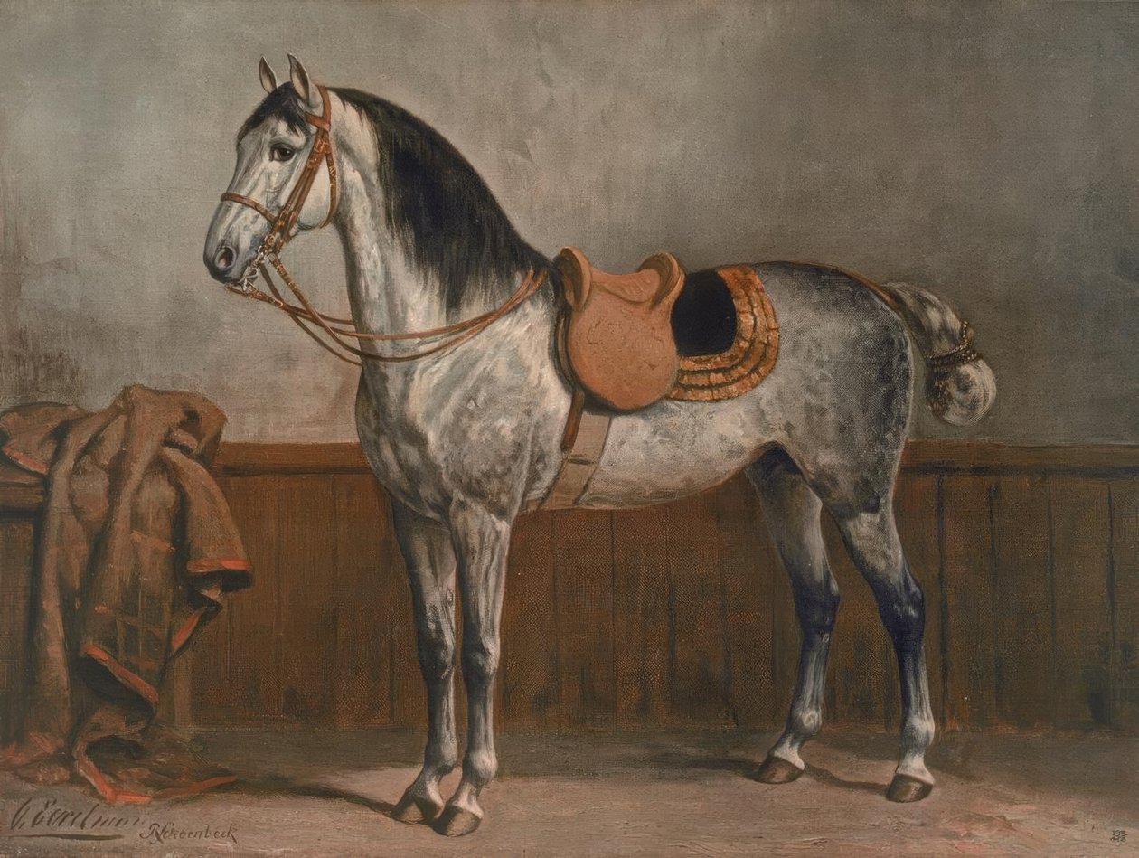 Lipizzaner de Otto Eerelman