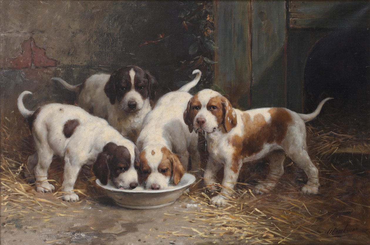 Filhotes de São Bernardo bebendo leite (óleo sobre tela) de Otto Eerelman