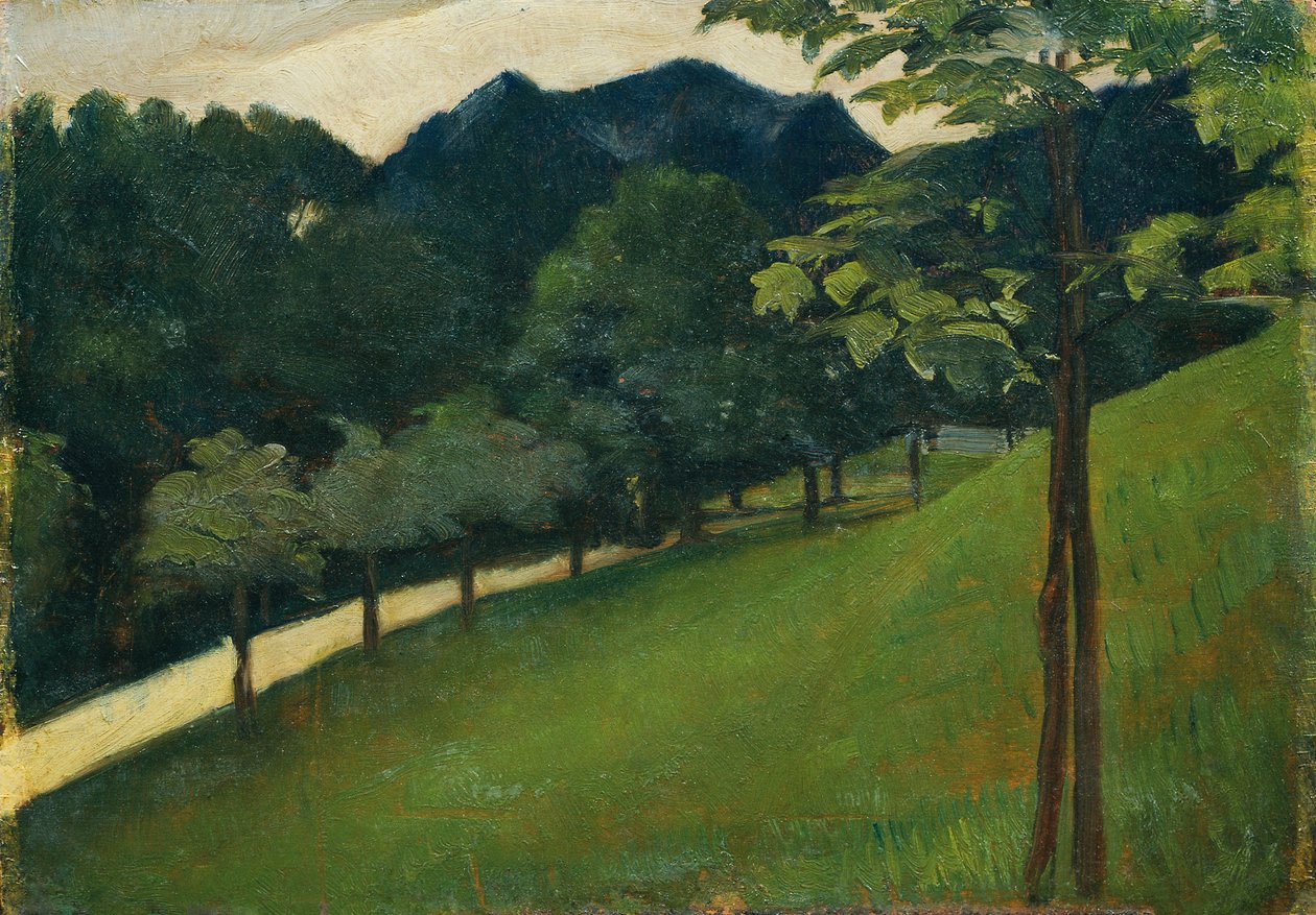 Vista de uma encosta verde em direcção a uma avenida de Otto Friedrich