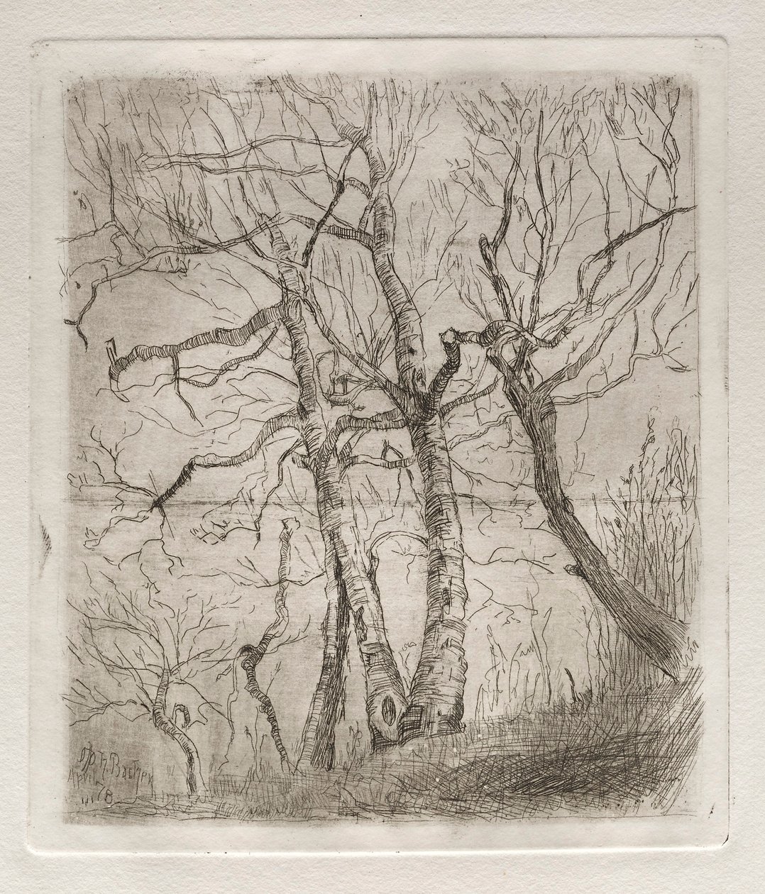 Árvores, 1878. de Otto H. Bacher