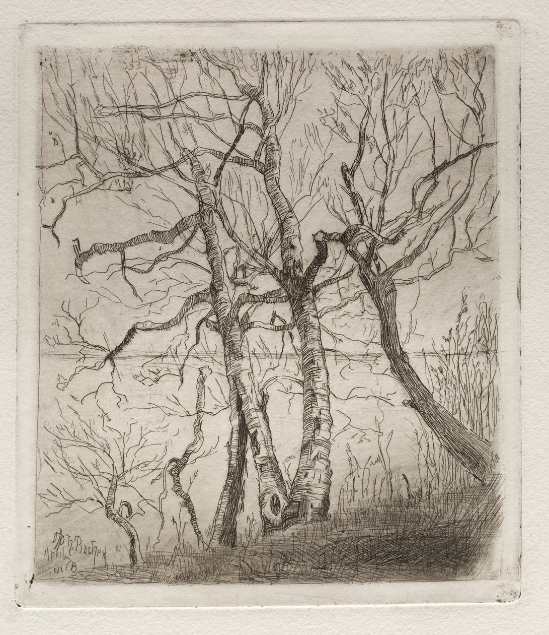 Bosques junto ao lago de Otto H. Bacher