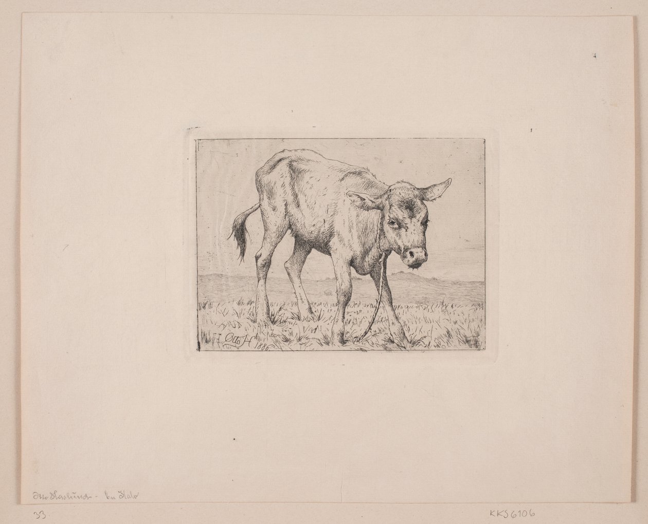 Um bezerro de Otto Haslund