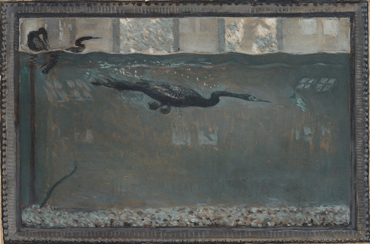 Cormorão mergulhador de Otto Henry Bacher