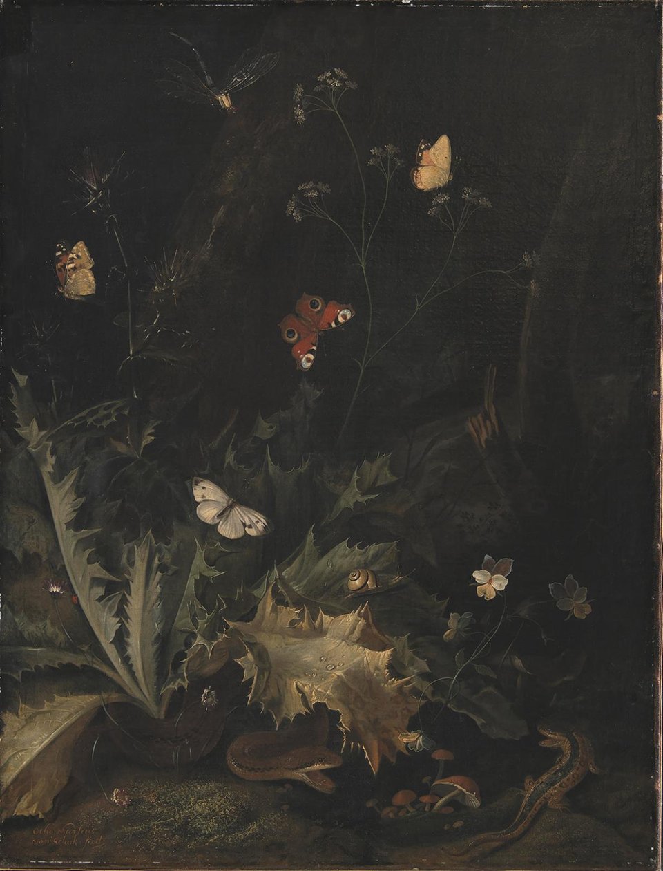 Um chão de floresta com um cardo, uma cobra, um lagarto e borboletas de Otto Marseus  van Schrieck