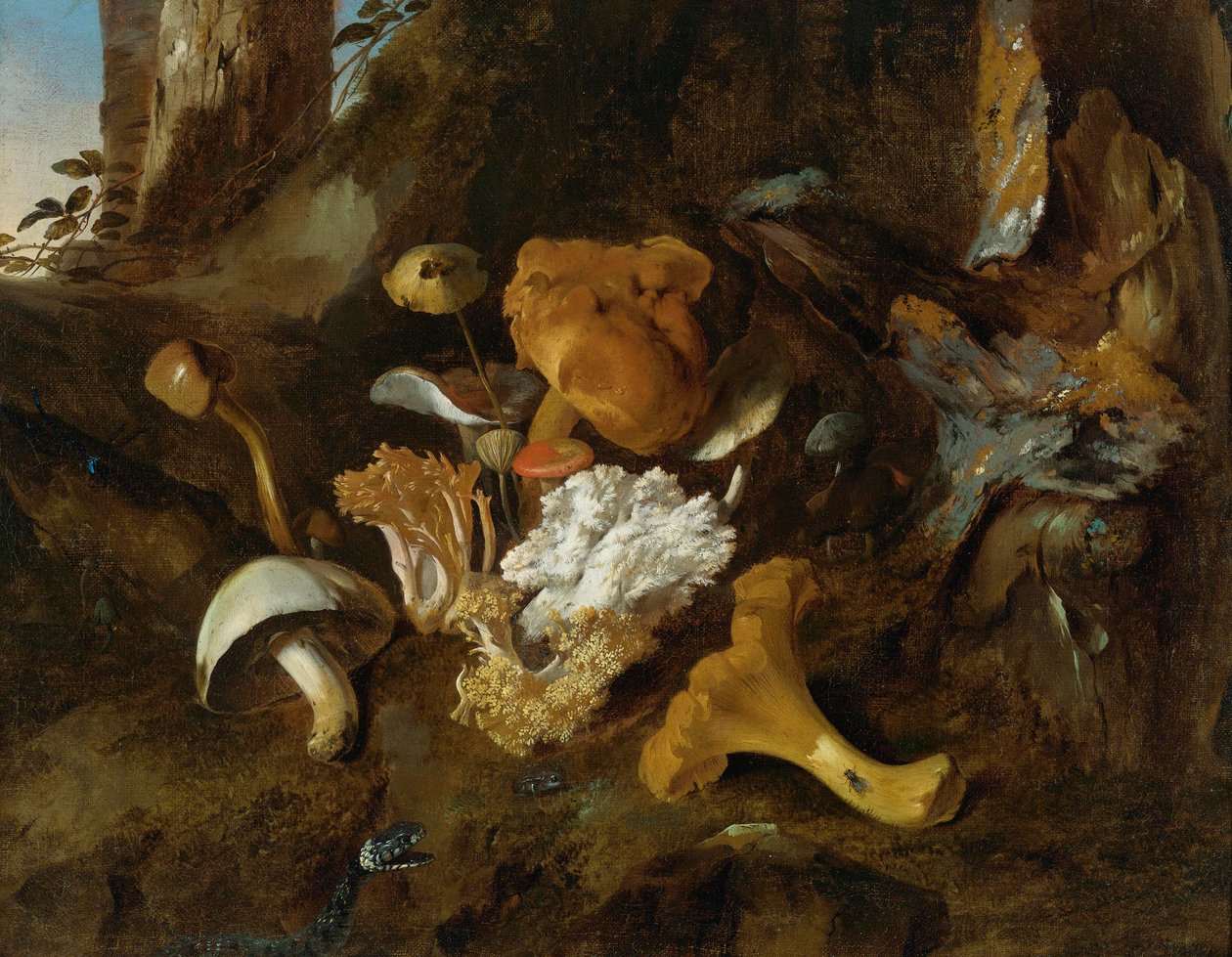 Piso da floresta em estado morto com cogumelos, borboletas e uma cobra de Otto Marseus  van Schrieck